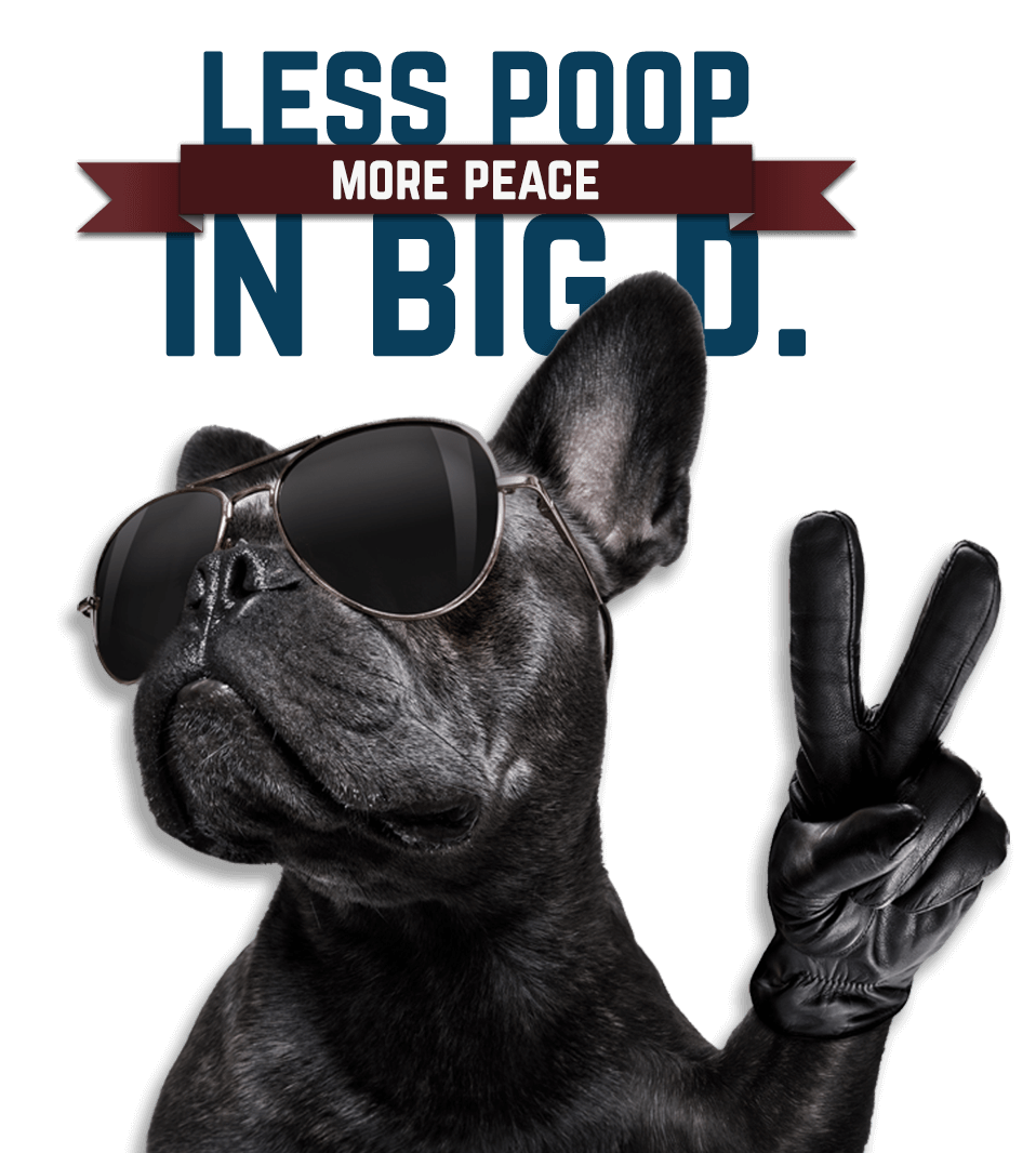 How Much Dog Poop Service